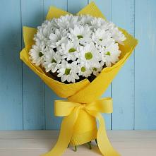 Букет цветов из:  Хризантемы #REPLACE_PRED# Степаньково