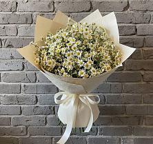 Букет цветов из:  Ромашки #REPLACE_PRED# Степаньково