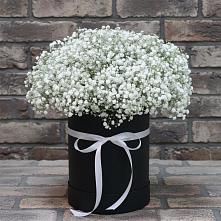 Цветочная композиция из Гипсофила в шляпной коробке в Степаньково