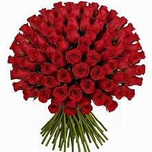 Букет Красные розы Чери Лав #REPLACE_PRED# Степаньково