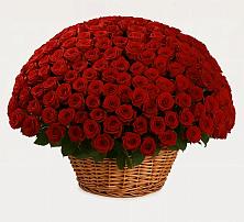 Премиум букет из: Розы в Степаньково